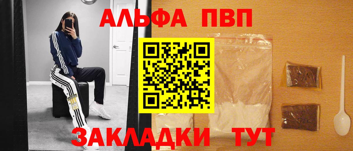 Альфа ПВП СК Магадан