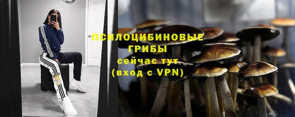 кокаин колумбия Новозыбков