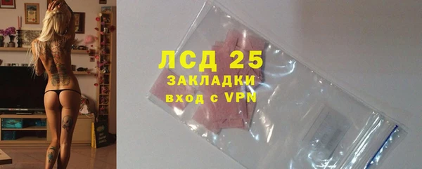 прущие грибы Нязепетровск