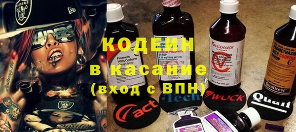 прущие грибы Нязепетровск