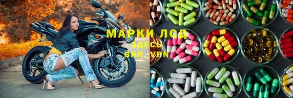 PSILOCYBIN Новокубанск