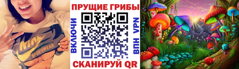 купить   дарк нет как зайти  Псилоцибиновые грибы GOLDEN TEACHER  Магадан 
