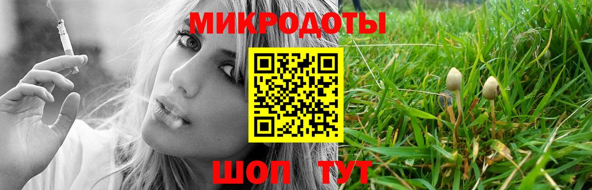 где купить наркоту  Псилоцибиновые грибы MAGIC MUSHROOMS  Вход с VPN  Магадан  Псилоцибиновые грибы Magic Shrooms 